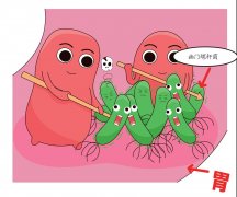 口臭之谜：原来是胃在“作祟”